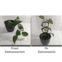 Podpórka Do Roślin Doniczkowych Plaster Miodu Pergola Drabinka 21cm