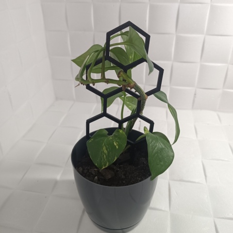 Podpórka Do Roślin Doniczkowych Plaster Miodu Pergola Drabinka 22cm