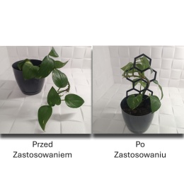 Podpórka Do Roślin Doniczkowych Plaster Miodu Pergola Drabinka 22cm