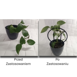 Podpórka do roślin Doniczkowych Okręgi Pergola Drabinka 19,5cm