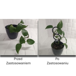 Podpórka do roślin Doniczkowych Okręgi Pergola Drabinka 22cm