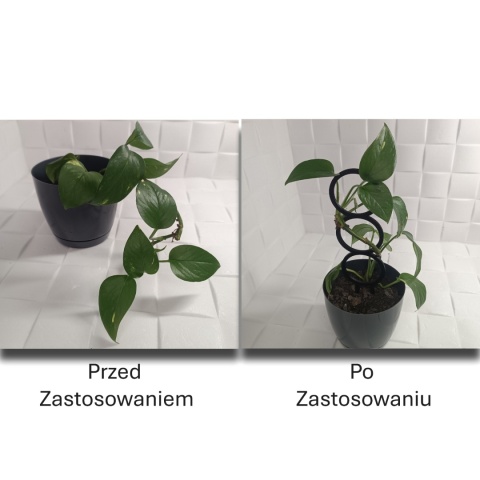 Podpórka do roślin Doniczkowych Okręgi Pergola Drabinka 22cm